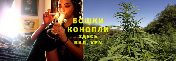 соль ск Горнозаводск